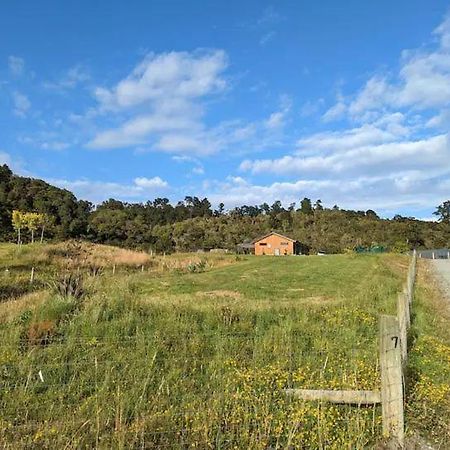 Enchanted Retreat In Greymouth Shared With Host Экстерьер фото